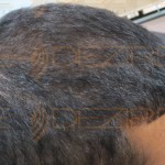 hair reconstructor for natural hair
